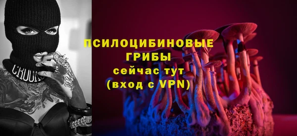 экстази Арсеньев
