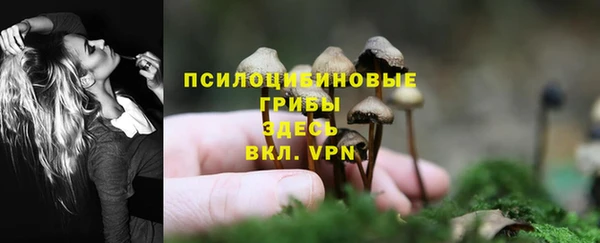apvp Армянск