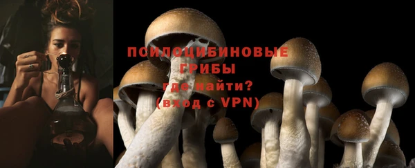 apvp Армянск