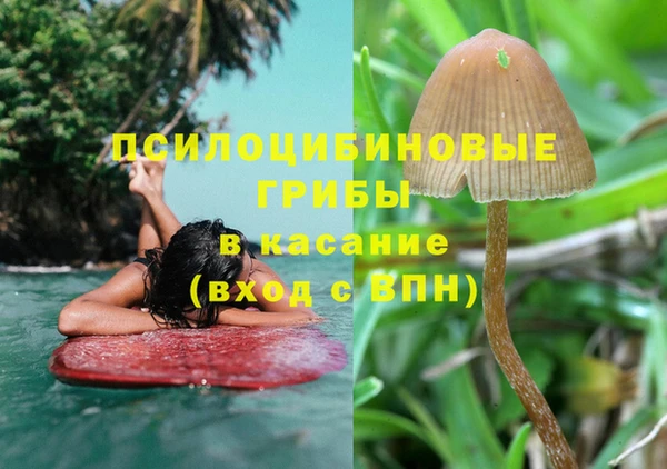экстази Арсеньев