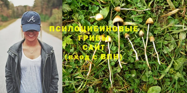 apvp Армянск