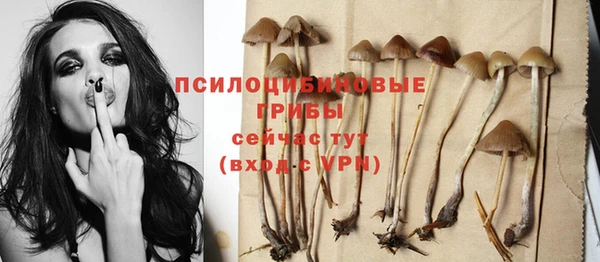 экстази Арсеньев