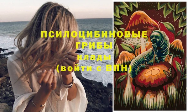 экстази Арсеньев