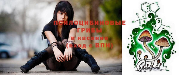 apvp Армянск