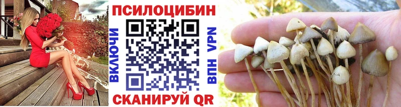 Псилоцибиновые грибы Psilocybine cubensis  Купить где  Порхов 